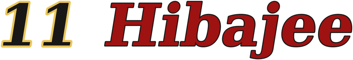 11 Hibajee logo